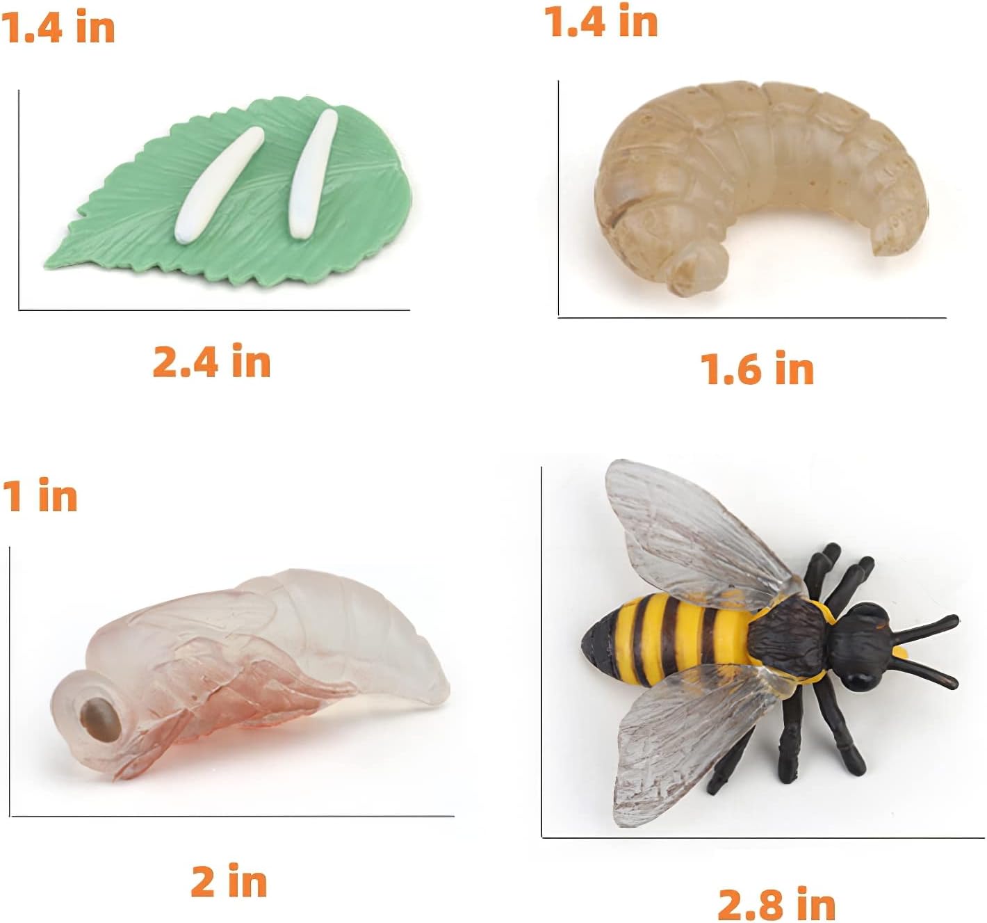 Ciclo de vida de abeja Montessori con tarjetas flash, figuras de animales realistas, juego educativo de animales a juego para niños pequeños de 3