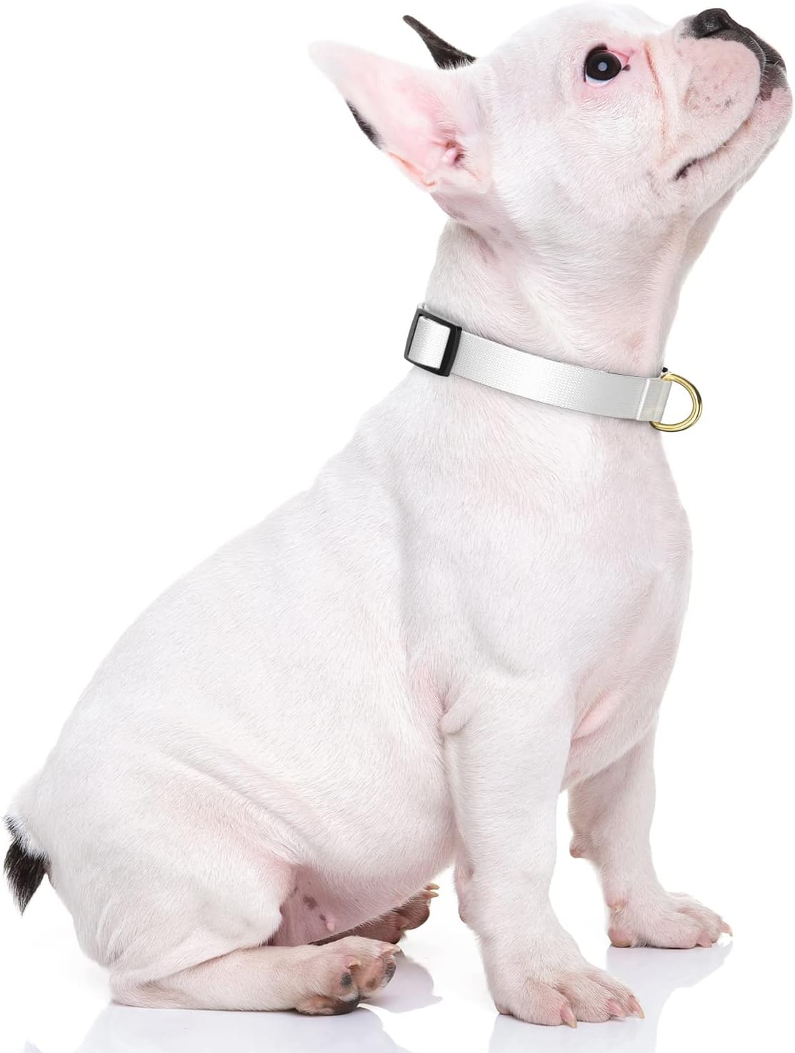 Collar de perro, collar blanco ajustable para perros pequeños, lindo collar de cachorro para perros machos y hembras, collares clásicos resistentes