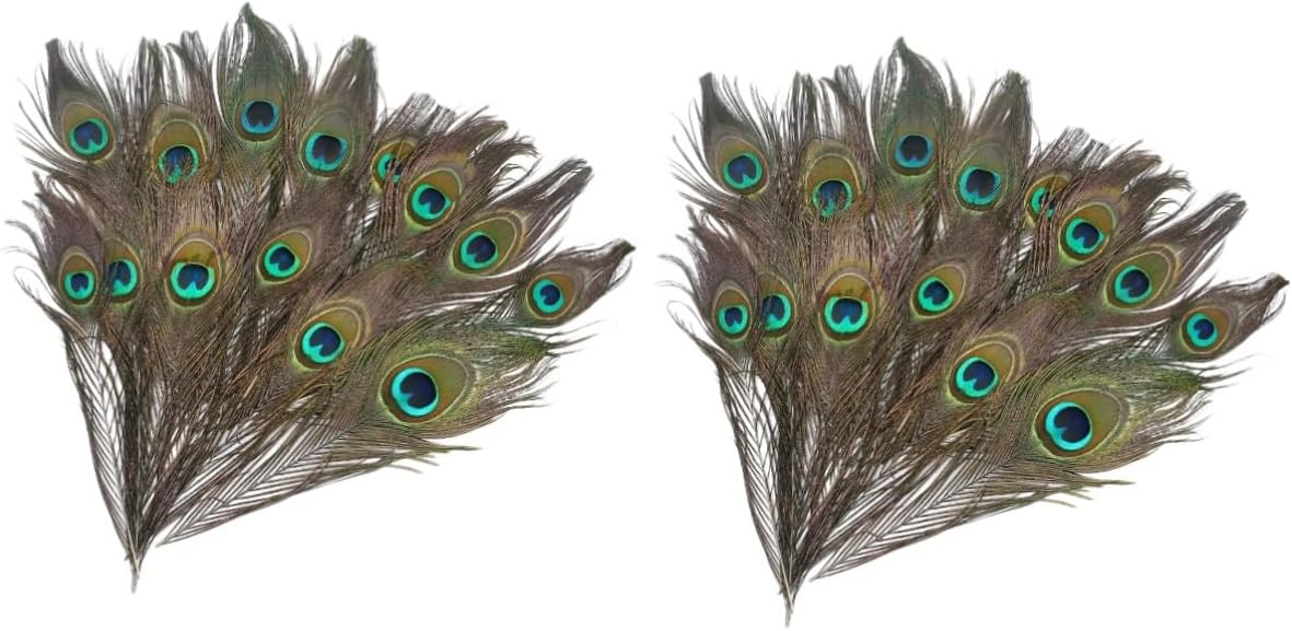 EXCEART 50 piezas de plumas naturales, plumas decorativas, plumas de cola de pavo real, arreglo floral