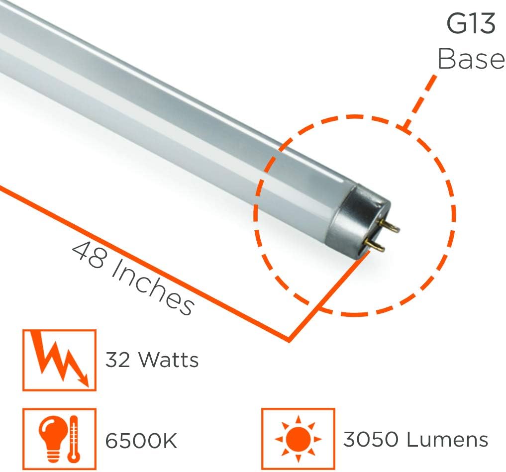 GoodBulb Bombilla fluorescente T8 de 32 W y 48 pulgadas, base bi-pin mediana de espectro completo de 6500 K, 3050 lúmenes, 86 CRI, 24000 horas de