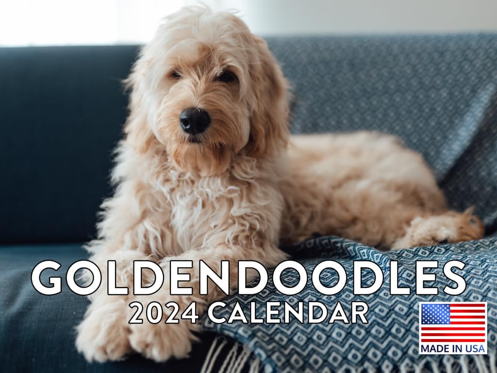 Goldendoodle Calendario mensual de pared 2024 Doodle Calander