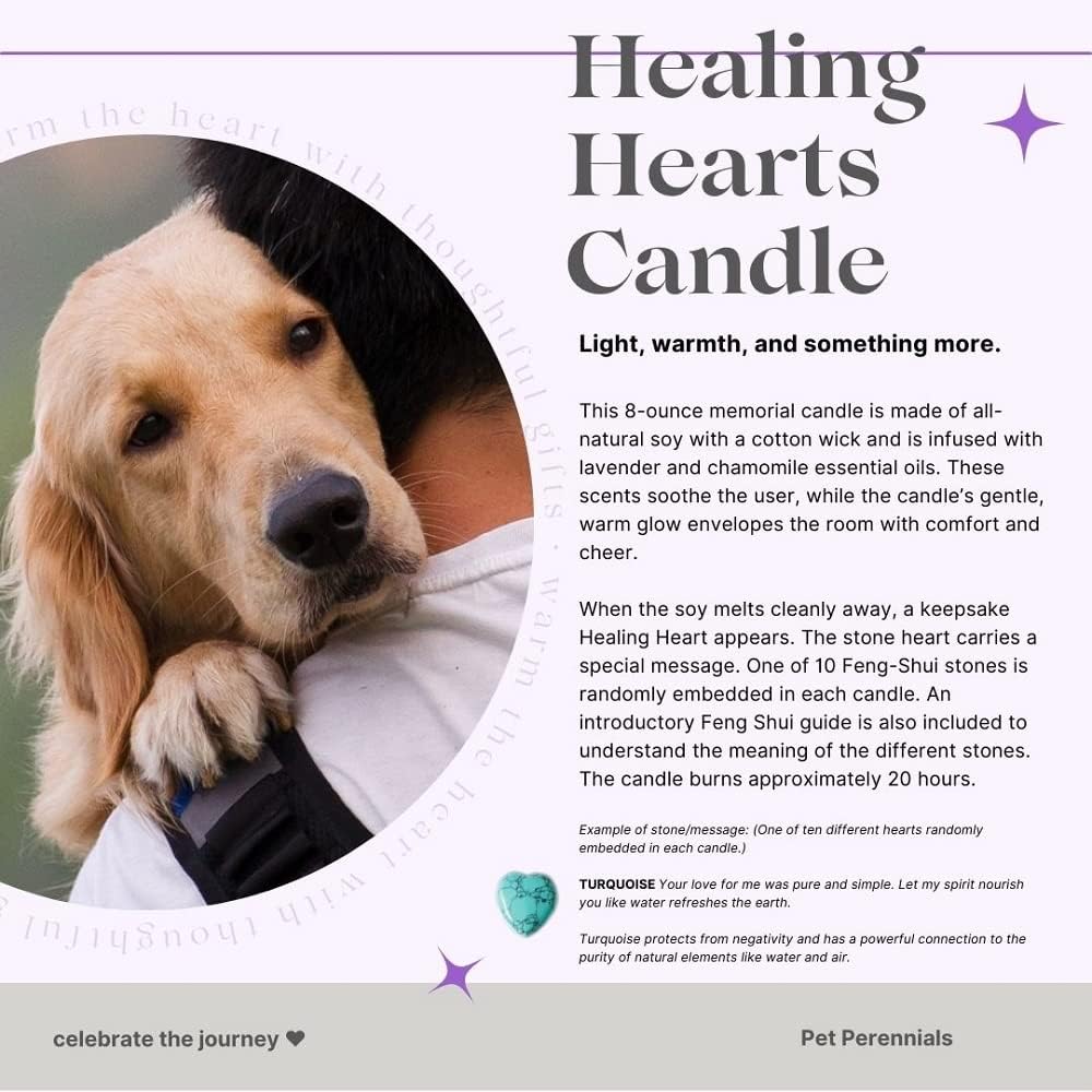 Pet Perennials Healing Hearts – Vela conmemorativa para mascotas, vela de soja con piedra de recuerdo de Feng-Shui (incrustada) Pérdida de regalos