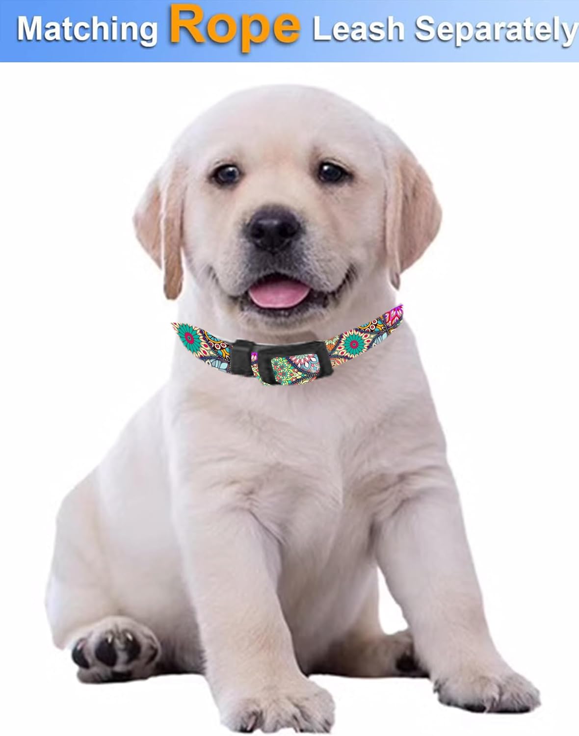 Collar de perro, lindo collar de perro para perros pequeños, medianos y grandes, collares suaves personalizados ajustables para mascotas con hebilla