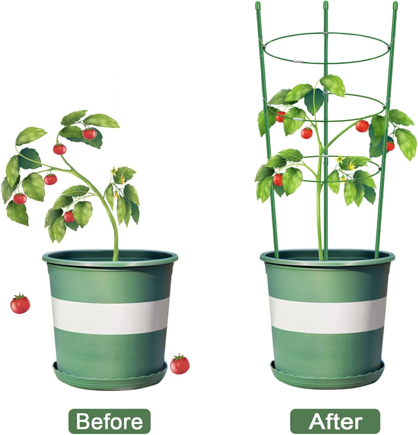 Alliico Jaulas de soporte para plantas trepadoras, jaula de tomate con estacas de soporte y anillos de soporte estables, paquete de 3 con 12 clips