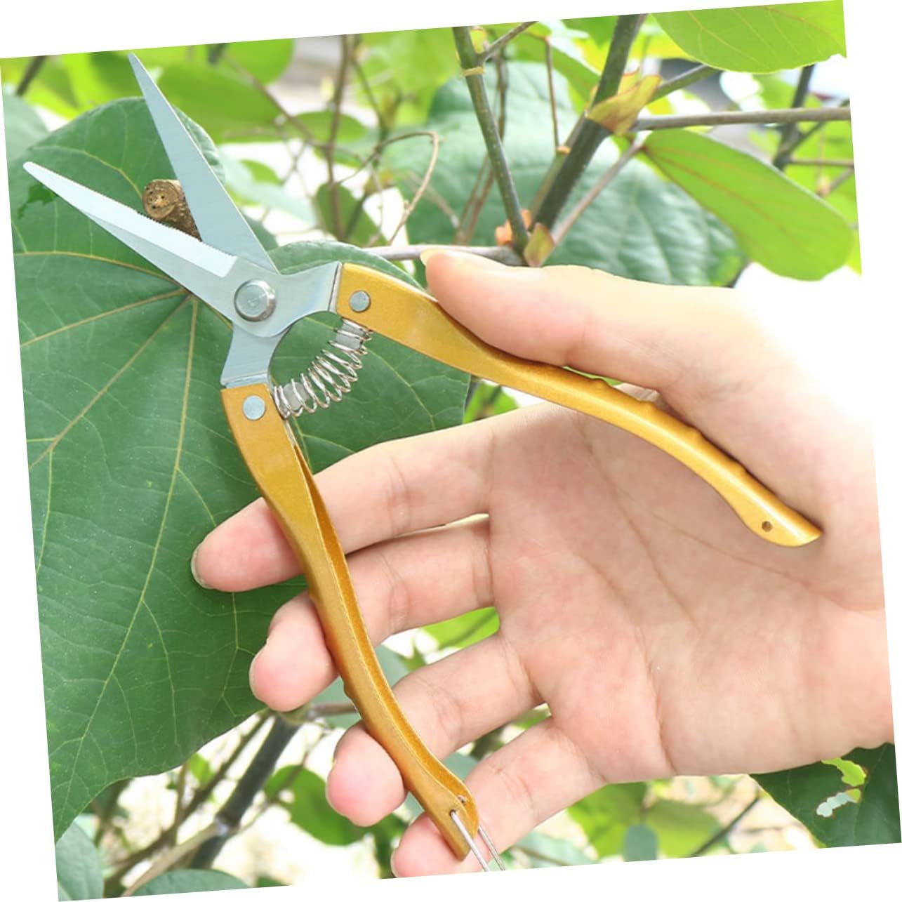 Uonlytech Tijeras de podar de jardín, tijeras de podar, herramienta de eliminación de hojas de rosa, herramienta de eliminación de hojas de espina,