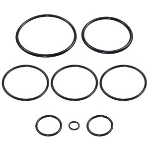 Parte # R0502500 Kit de juntas tóricas, repuesto para desinfectantes de agua Zodiac Jandy Nature2 Fusion Inground, Fusion Soft, Vision sobre el Parte # R0502500 Kit de juntas tóricas, repuesto para desinfectantes de agua Zodiac Jandy Nature2 Fusion Inground, Fusion Soft, Vision sobre el