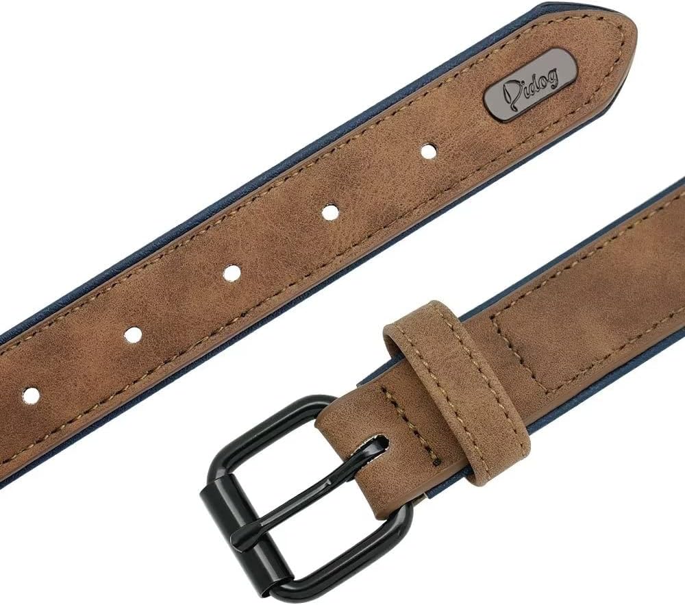 Didog Collar de perro de cuero personalizado, collares de perro grabados con placa de identificación personalizada, collar personalizado acolchado