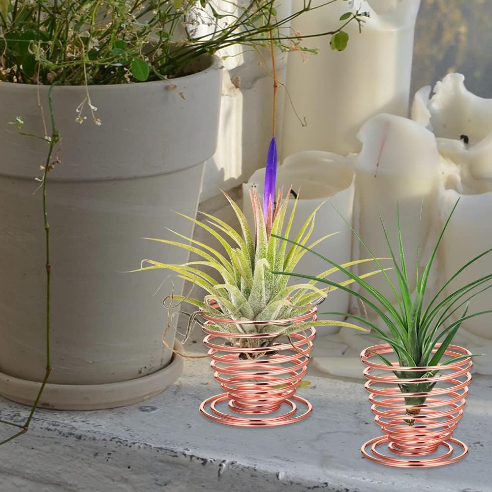 LIYI Soporte para plantas de aire, 8 unidades, contenedor de acero inoxidable para plantas de aire, estantes de exhibición para decoración del