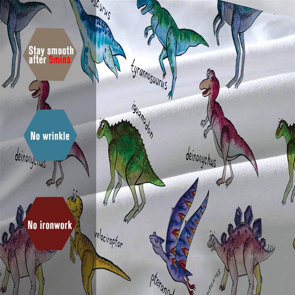 Mkikejoy Juego de sábanas de la colección de dinosaurios, tamaño matrimonial, para niños, niñas, adolescentes, juego de ropa de cama de 3 piezas, 1