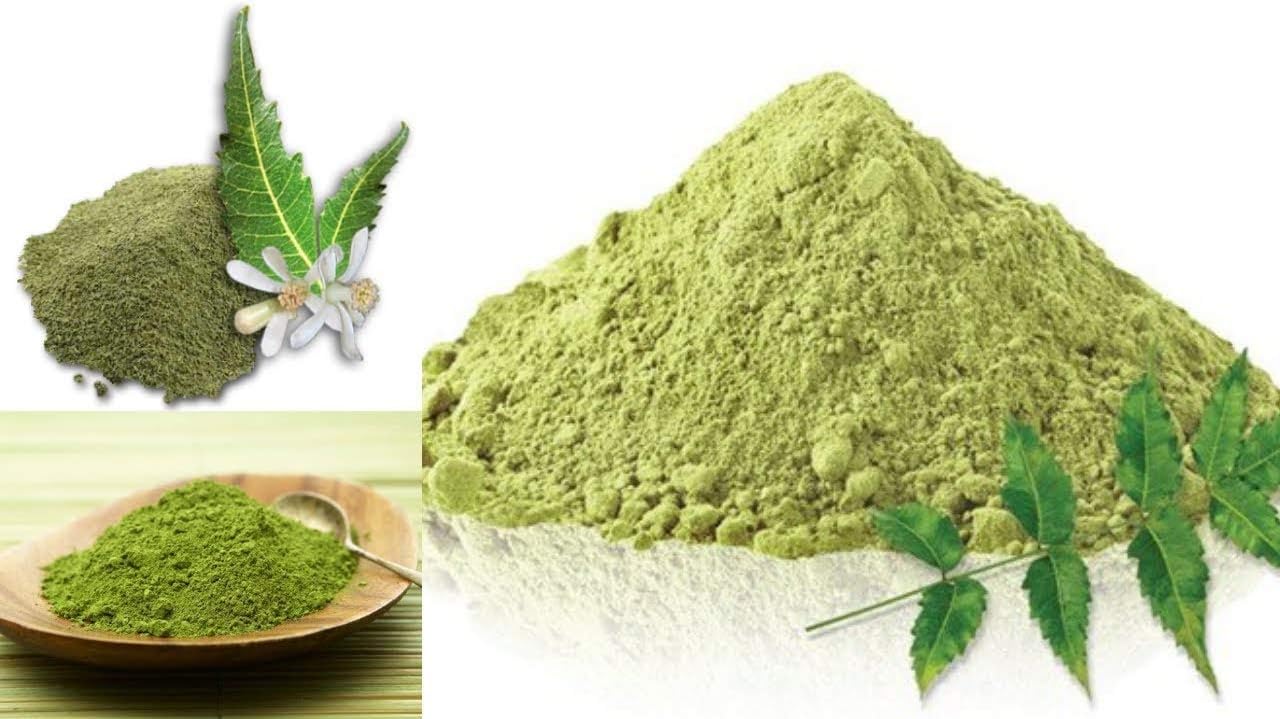 Polvo de hojas de neem 100% naturales (Azardirachta Indica) (100 gm (0.22 lb) 3.5 onzas)