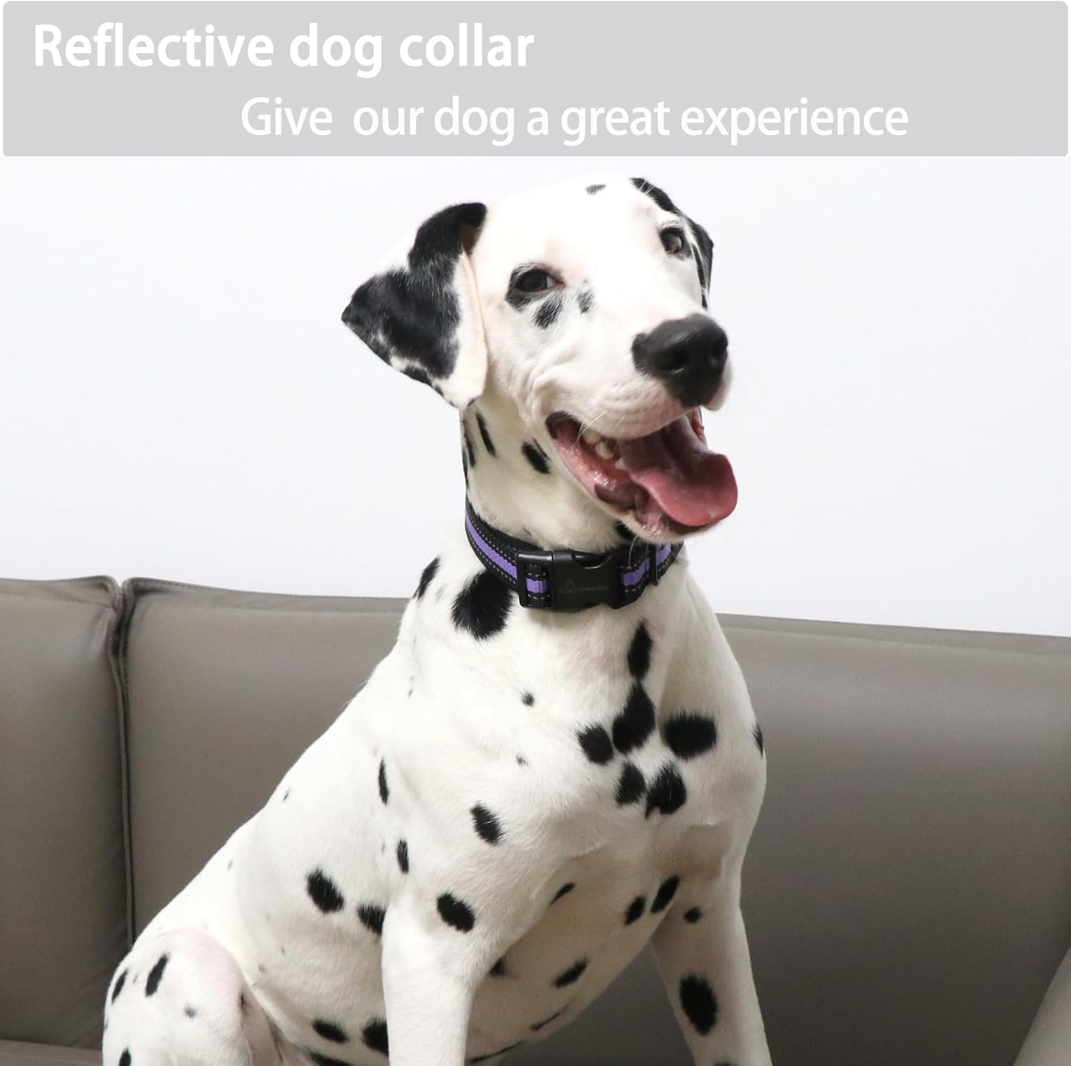 ARING PET Collar reflectante para perro, collar de perro morado suave para perros medianos, collares de perro de nailon ligero con hebilla de