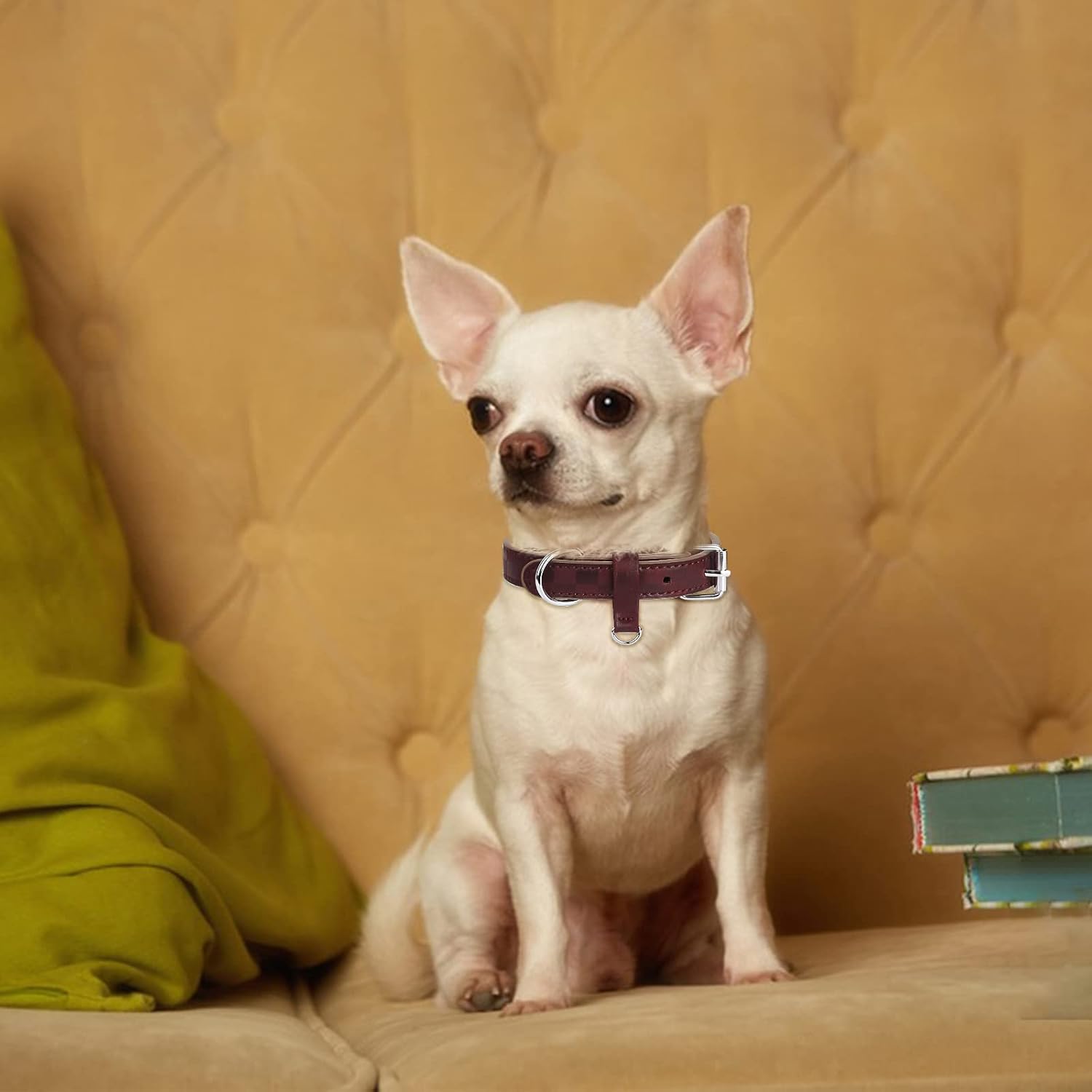Collar de perro para perros pequeños, medianos y grandes, collares para mascotas, hembras y niños, collar de piel sintética con estampado a cuadros,