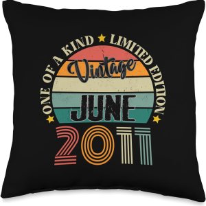 13 Year Old Vintage June 2011 13th Birthday Retro Throw Pillow, 16×16, Multicolor 13 Year Old Vintage June 2011 13th Birthday Retro Throw Pillow, 16×16, Multicolor