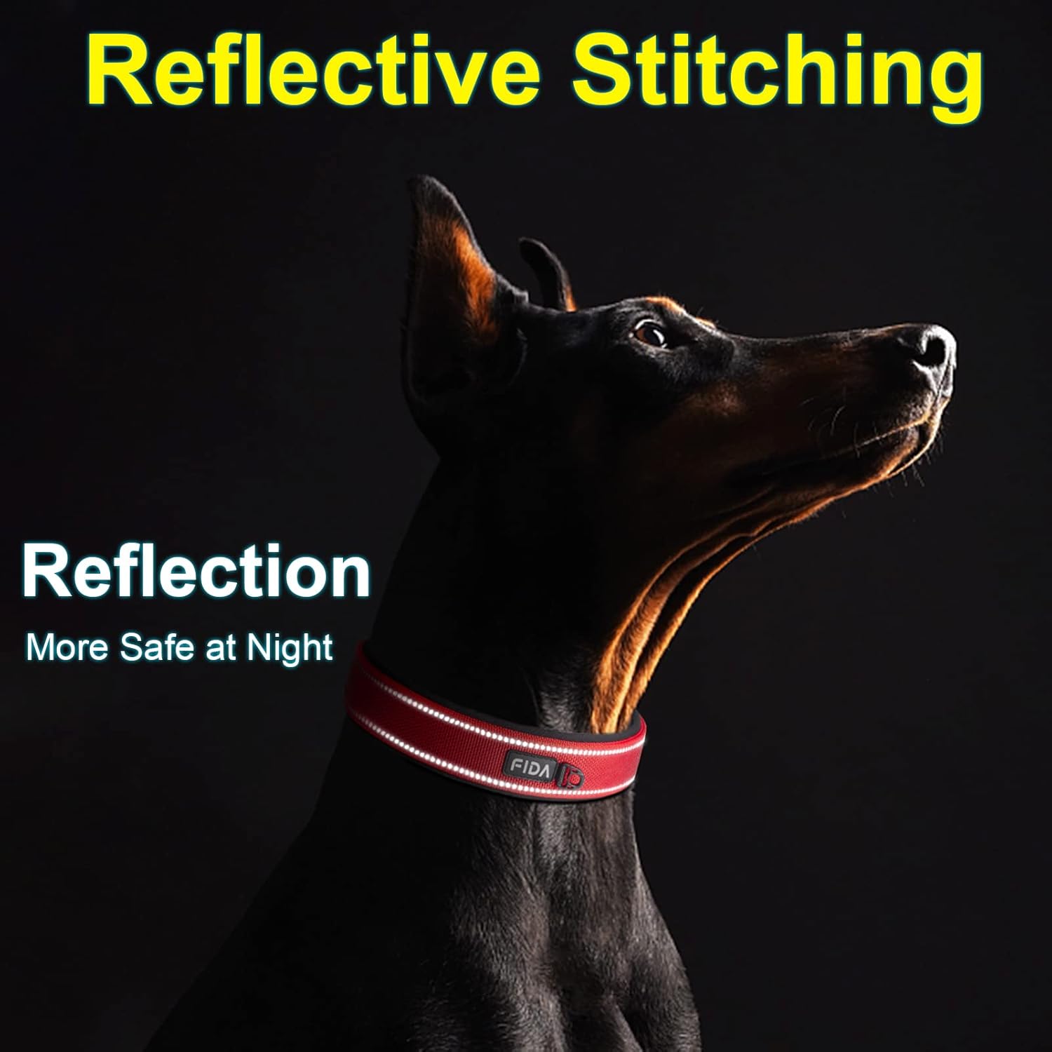 Fida Collar para perro resistente, ultra cómodo y acolchado de neopreno suave, collar de nailon reflectante ajustable para mascotas con hebilla de