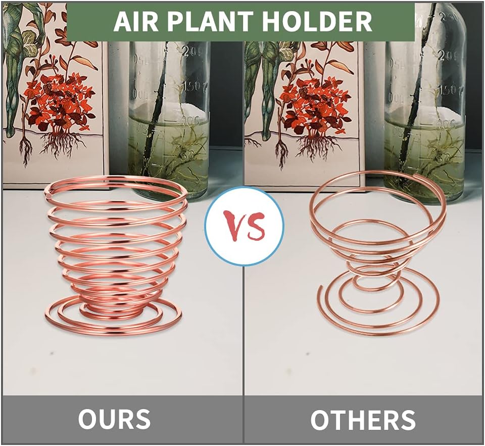 LIYI Soporte para plantas de aire, 8 unidades, contenedor de acero inoxidable para plantas de aire, estantes de exhibición para decoración del
