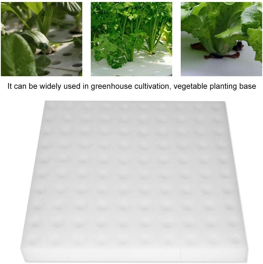 100 cubos de esponja para hidroponía, herramienta de plantación de esponja hidropónica, esponjas cuadradas, insertos clonadores de espuma para