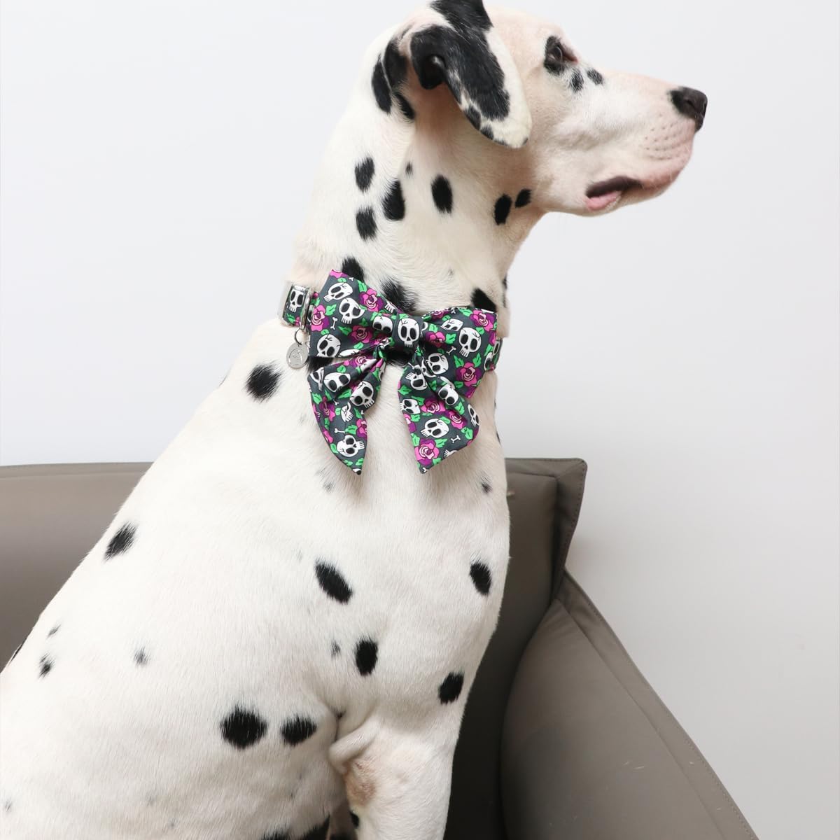 DOGWONG Collar de perro fantasma de Halloween con corbatín de marinero, collar de perro de calavera rosa para Halloween, duradero y suave, collar de
