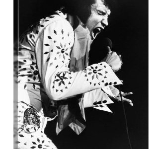GREATBIGCANVAS Elvis On Tour, Elvis Presley, 1972 – Lienzo decorativo para pared, diseño de celebridades para decoración del hogar, 26 x 36 x 1.5 GREATBIGCANVAS Elvis On Tour, Elvis Presley, 1972 – Lienzo decorativo para pared, diseño de celebridades para decoración del hogar, 26 x 36 x 1.5
