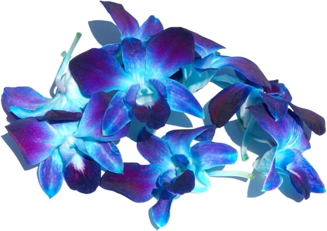 Miami Fresh Orchid Flower OrchidClub USA Sunne Tropical Loose Bloom DIY Lei, decoración de alimentos y bebidas (50 azul)