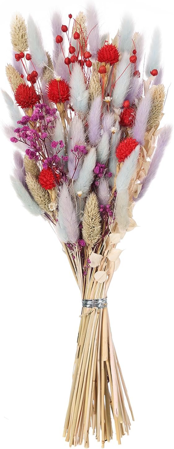 Botius Ramo de flores secas mixtas naturales de 17 pulgadas, hierba de cola de conejo, aliento de bebé, crisantemo, Phalarit Canariensis, avena para