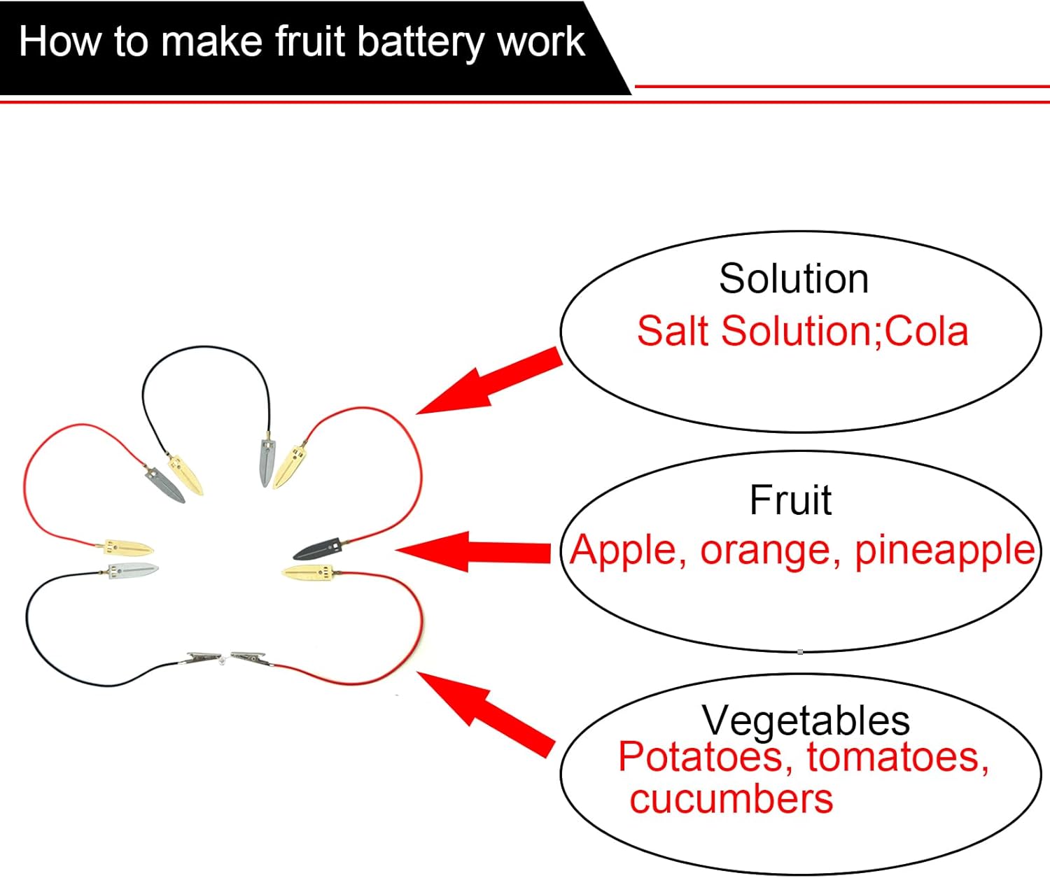 EUDAX Kit de experimento científico de batería de frutas con reloj electrónico y LED RGB para bricolaje juguete de enseñanza en casa, proyecto de