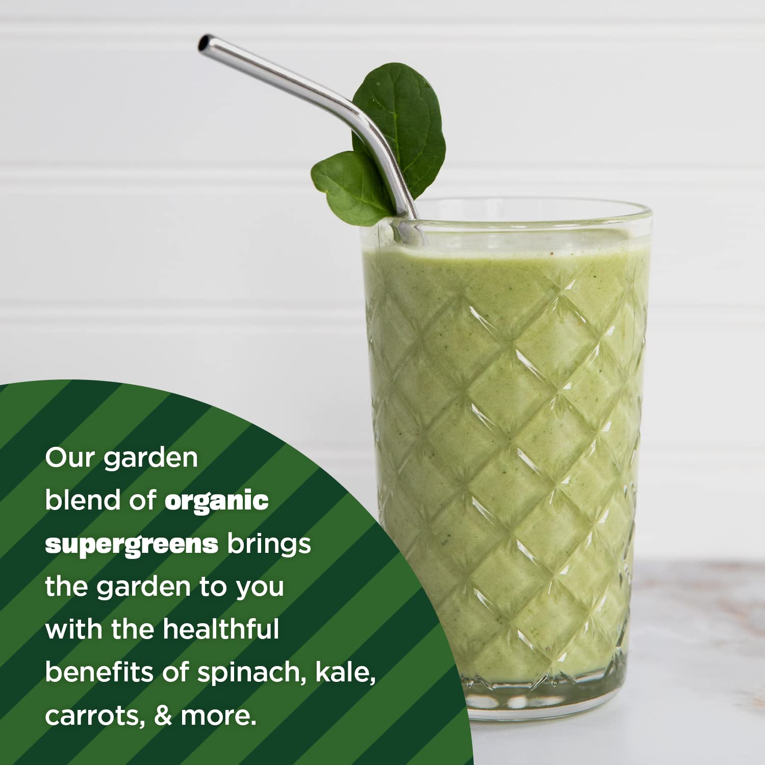 Manitoba Harvest Polvo orgánico de cáñamo y superverdes, 7.5 onzas, superalimento verde en polvo con 0.23 onzas de proteína, 0.11 onzas de fibra por