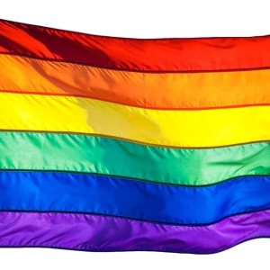 US Flag Factory Bandera arcoíris de 2 x 3 pies (rayas cosidas) para exteriores SolarMax nailon Orgullo gay lesbiana LGBT Calidad premium US Flag Factory Bandera arcoíris de 2 x 3 pies (rayas cosidas) para exteriores SolarMax nailon Orgullo gay lesbiana LGBT Calidad premium