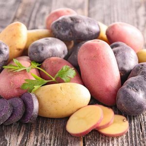 Patatas de semillas de colores mixtos para plantar al aire libre, papas de reliquia, 2 libras, rojo, amarillo y morado Patatas de semillas de colores mixtos para plantar al aire libre, papas de reliquia, 2 libras, rojo, amarillo y morado