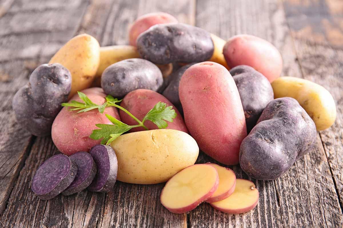 Patatas de semillas de colores mixtos para plantar al aire libre, papas de reliquia, 2 libras, rojo, amarillo y morado