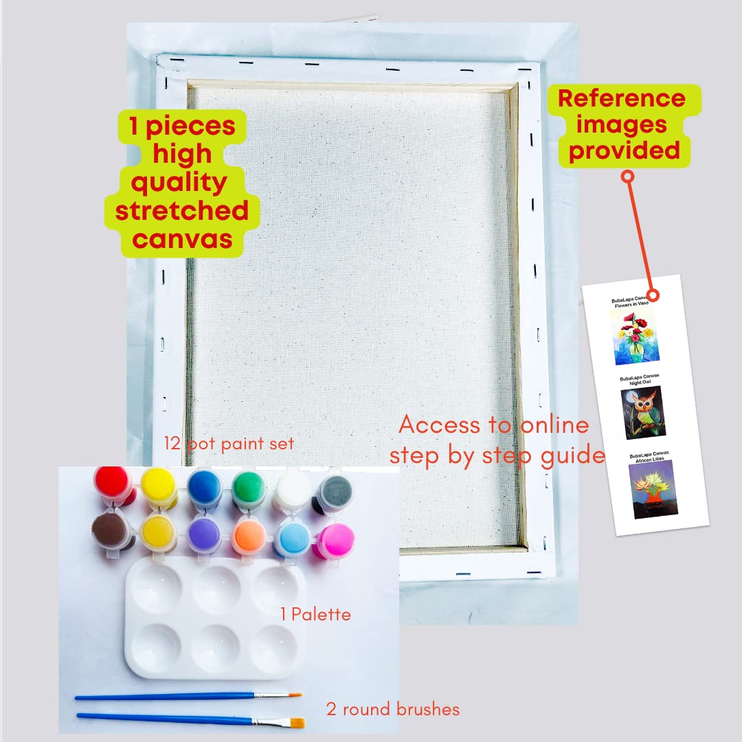 DIY Afro Ladies DIY Paint and Sip Canvas  African Queens Acrylic Painting Set