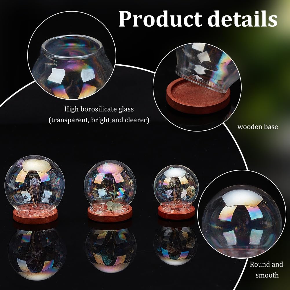 PH PandaHall 6 juegos de cúpula de cristal Cloche de 3 tamaños con base de madera, botellas de decoración de vidrio para plantas, exhibición de