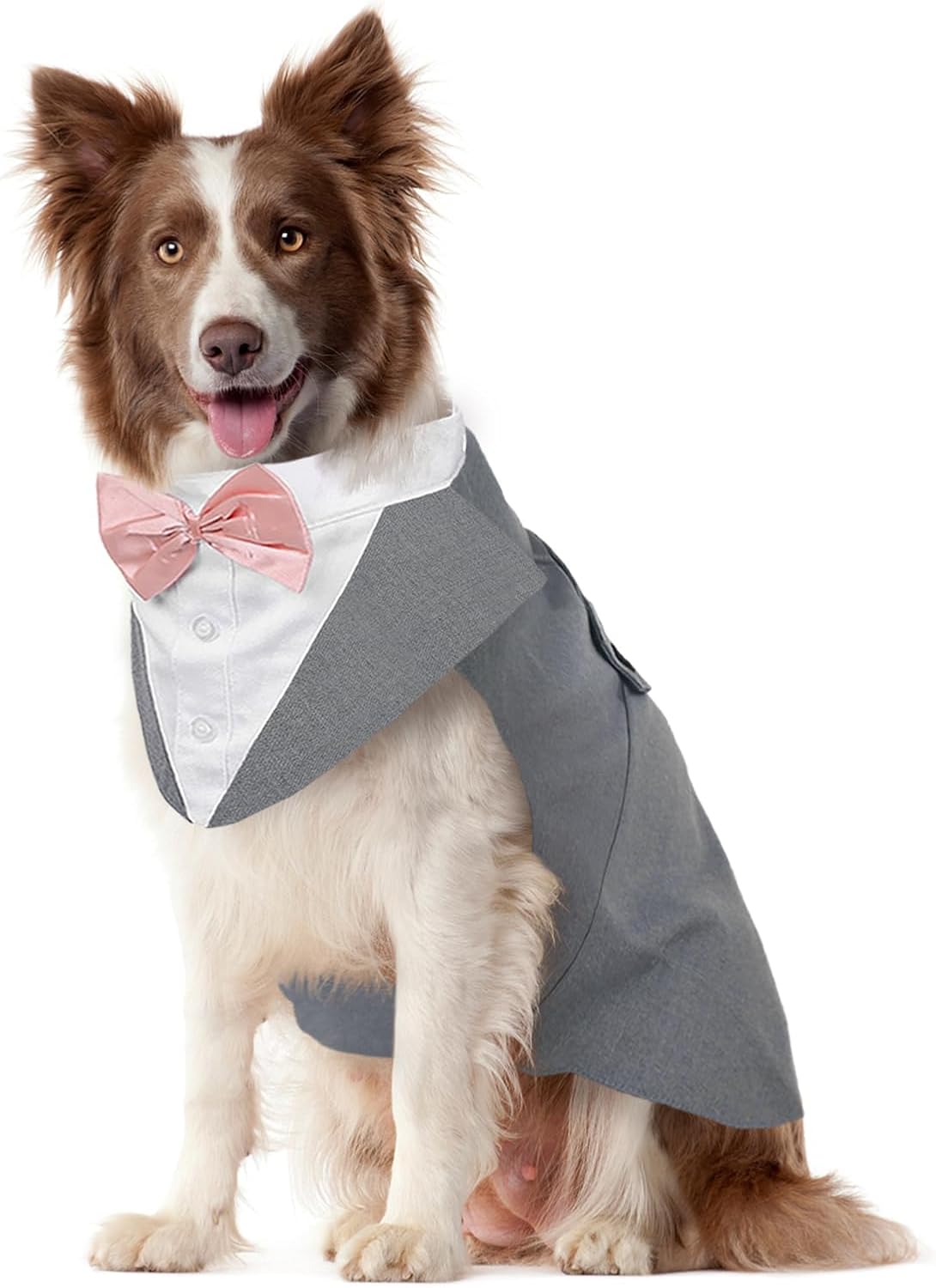 Kuoser – Juego de traje y paliacate para perros grandes y medianos, tema de esmoquin, para bodas