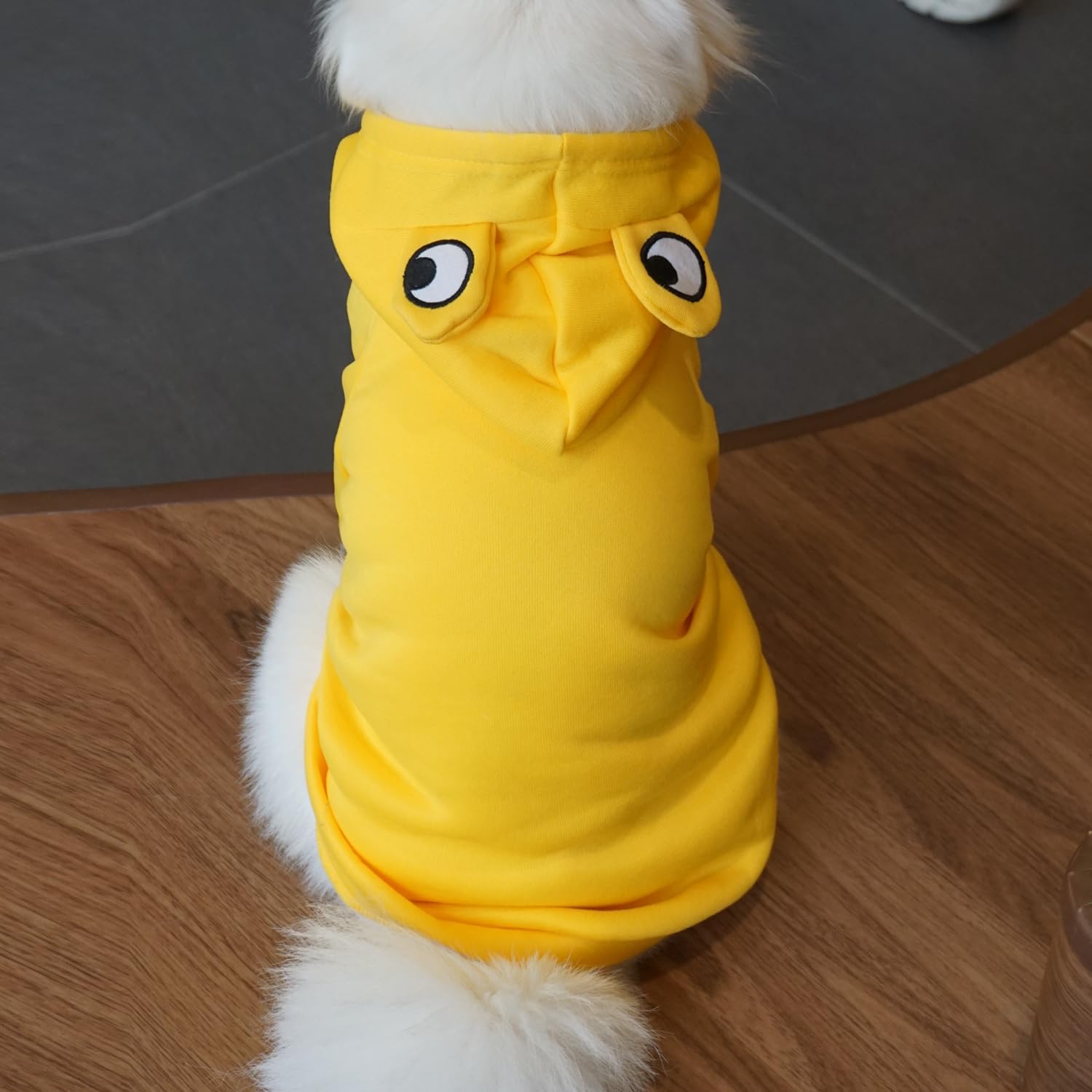Suéter para perro, sudadera con capucha para perro, suéter de gato, disfraz de gato, disfraz de rana con forma de rana, ropa de cosplay, suéter