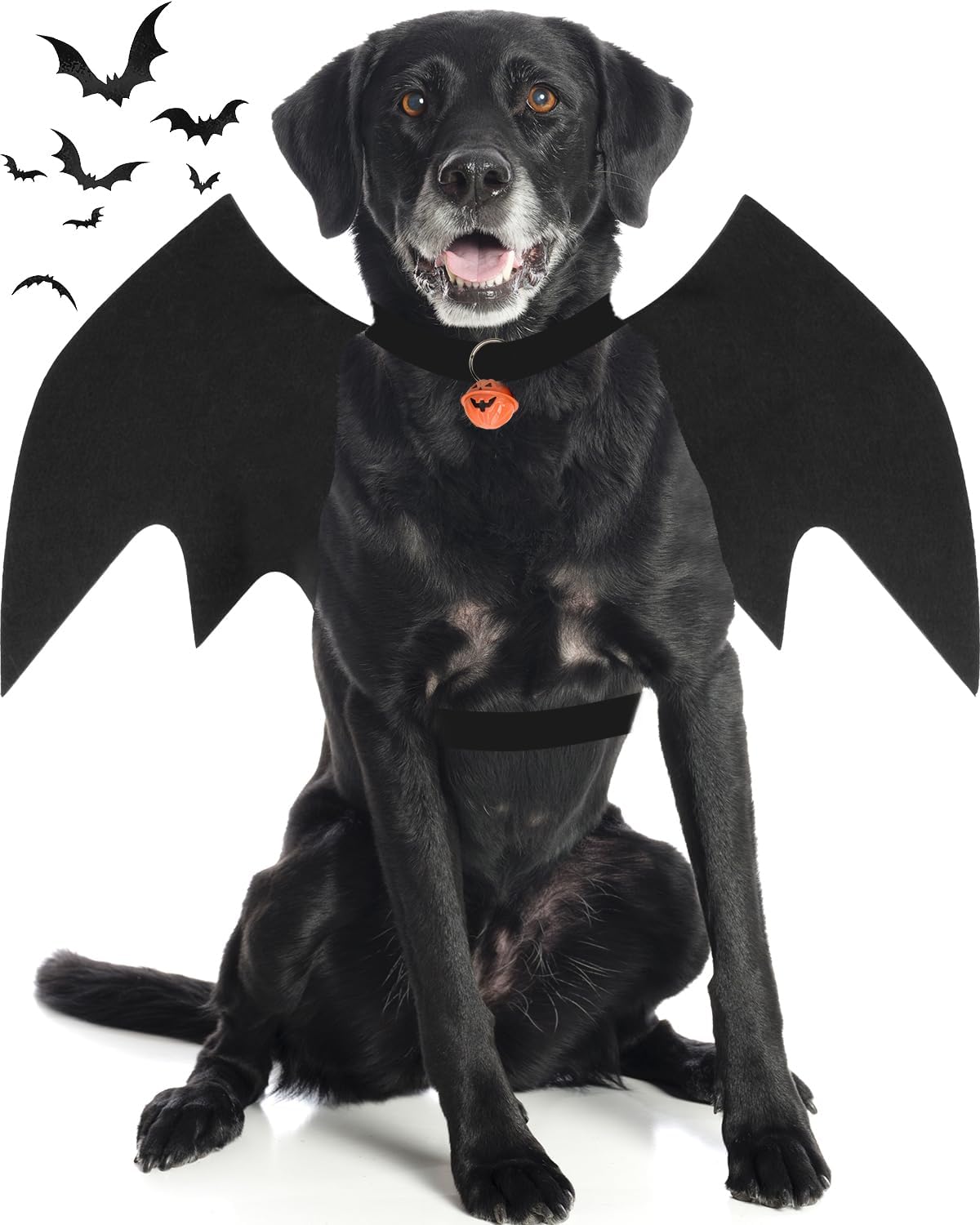 Disfraz de Halloween para perro grande, alas de murciélago de perro con campana de calabaza para mascotas, disfraz de fiesta de cosplay de Halloween