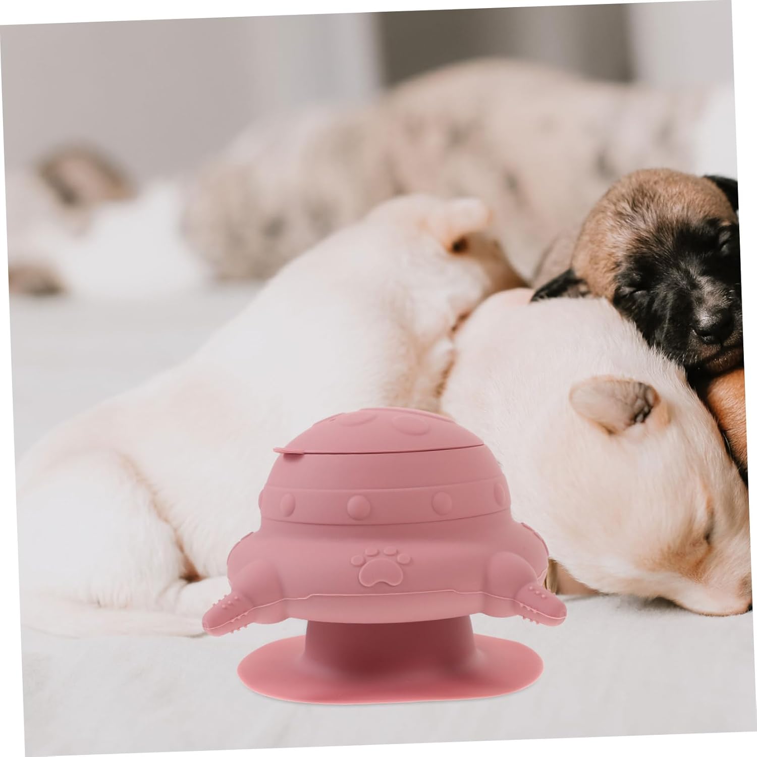 Mipcase Chupete Enfermera Tazón de alimentación Botella para cachorros Botella de animales recién nacidos Botella de leche para cachorros