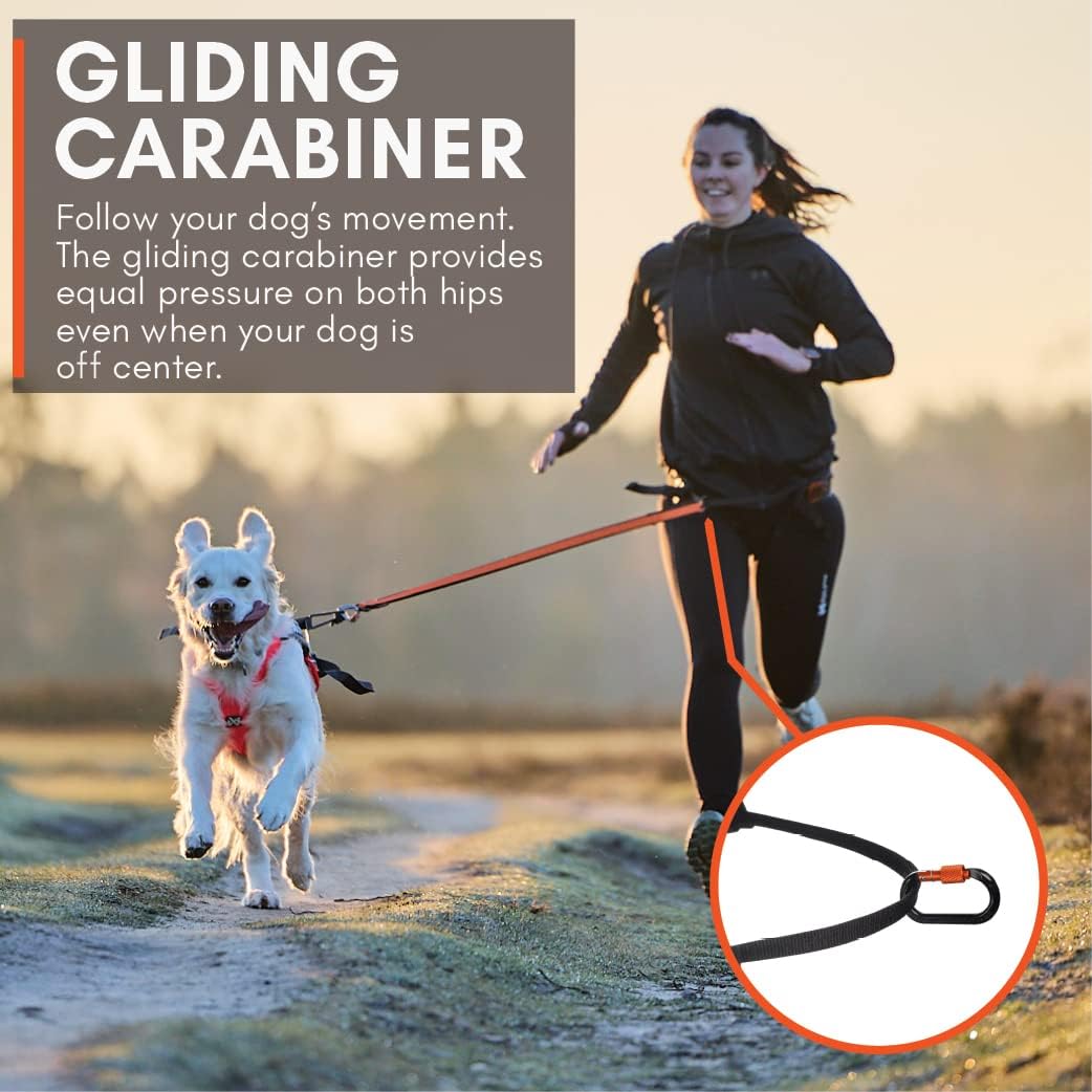 Non-stop dogwear CaniX Cinturón manos libres para perro Canicross. Cómodo cinturón para correr y entrenar perros. Negro, talla S