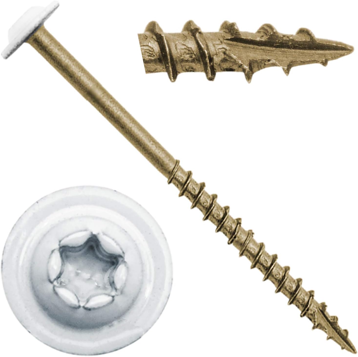 #8 x 2-12″ Cabeza de armadura blanca modificada con revestimiento exterior de estrella de bronce  Tornillo de madera de gabinete Torxcabeza de