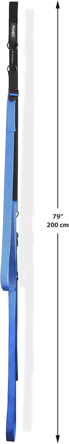 PUMEO Sistema de correa de almacenamiento doble para kayak, viene con 2 clips de mosquetón para remo, uso con tablas de kayak y remo, uso en