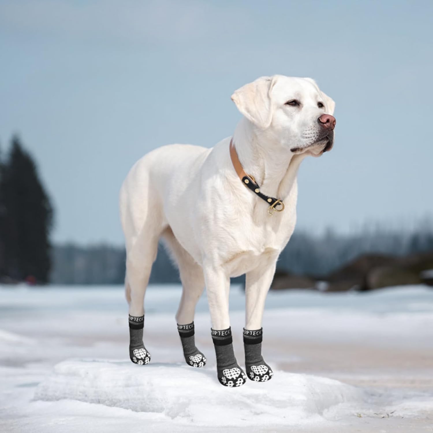 PUPTECK Calcetines antideslizantes para perros para lamer con agarres, zapatos de perro para suelos de madera dura, botines de invierno para perros