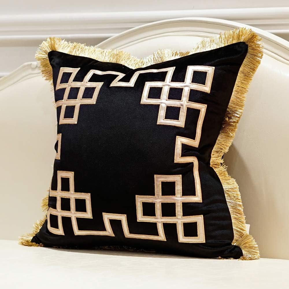 Avigers – Fundas de cojín decorativas de lujo, de 18 x 18 pulgadas, diseño de terciopelo, con borlas, cadenas cuadradas, para sofá, dormitorio, sala