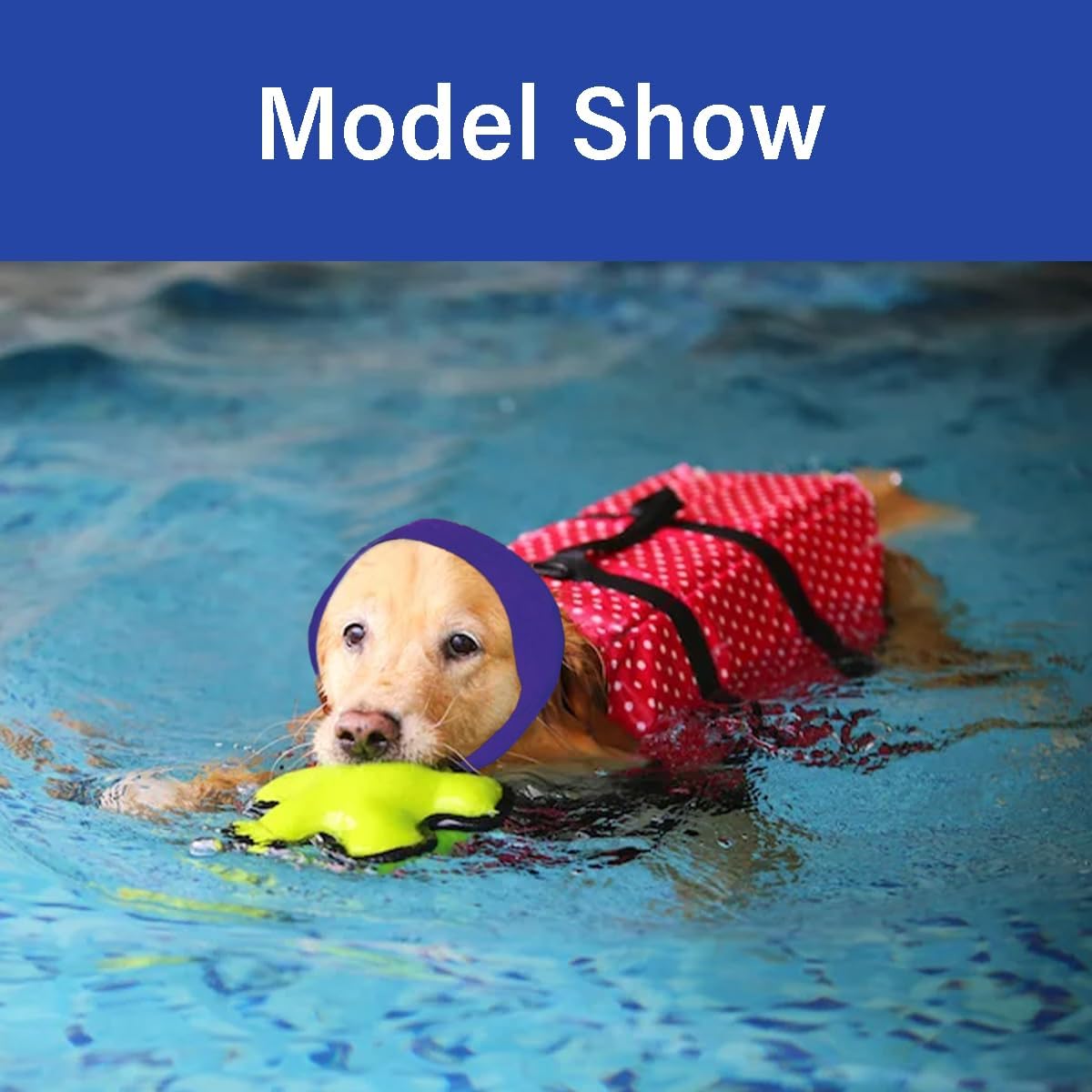Tapones para gorro de natación para perro, 2 unidades, impermeable, para todo tipo de clima, para bañarse en días lluviosos, natación, protector