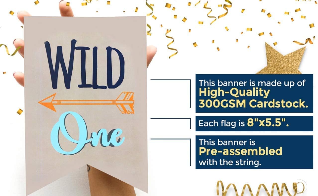 Boston Creative Company Cartel Wild One  One Banner  Cartel para silla de alta  Cartel de plumas  Cartel tribal para baby shower  Decoración de