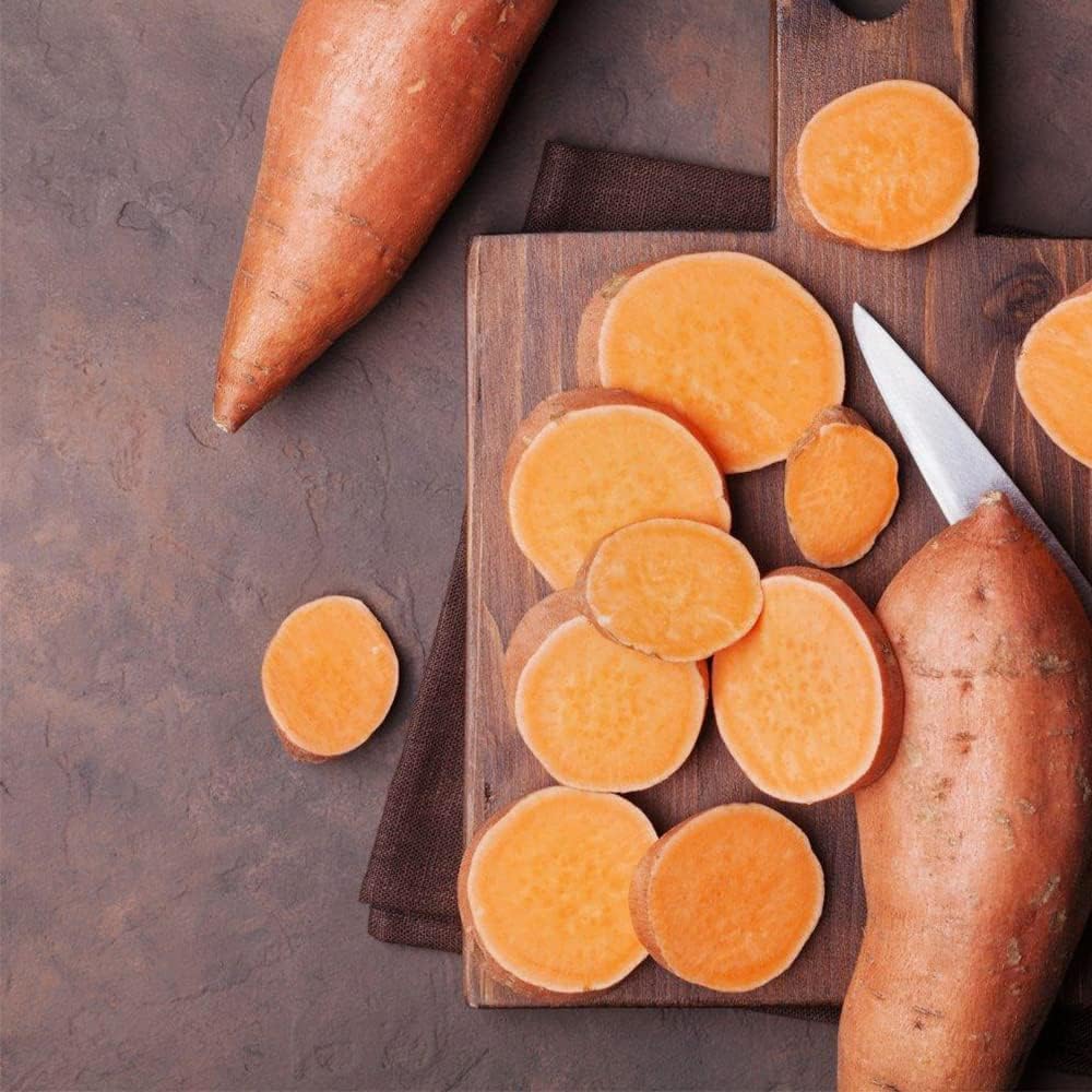 Semillas de batata, 50 semillas de batata moradas para plantar, nutrición, deliciosas plantas de bonsái vegetales, semillas de flores, semillas de