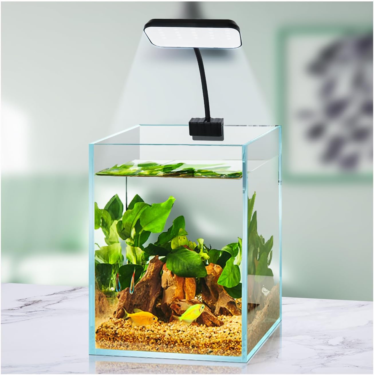 Boxtech Luz LED para pecera, pequeña luz de clip para acuario, luz de abrazadera LED blanca de 8 W, luz plantada de espectro completo USB de 4.53