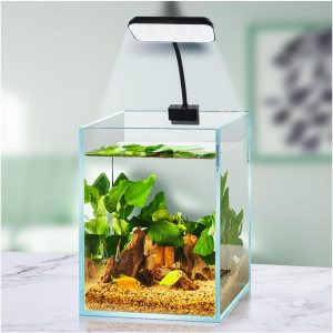 Boxtech Luz LED para pecera, pequeña luz de clip para acuario, luz de abrazadera LED blanca de 8 W, luz plantada de espectro completo USB de 4.53 Boxtech Luz LED para pecera, pequeña luz de clip para acuario, luz de abrazadera LED blanca de 8 W, luz plantada de espectro completo USB de 4.53