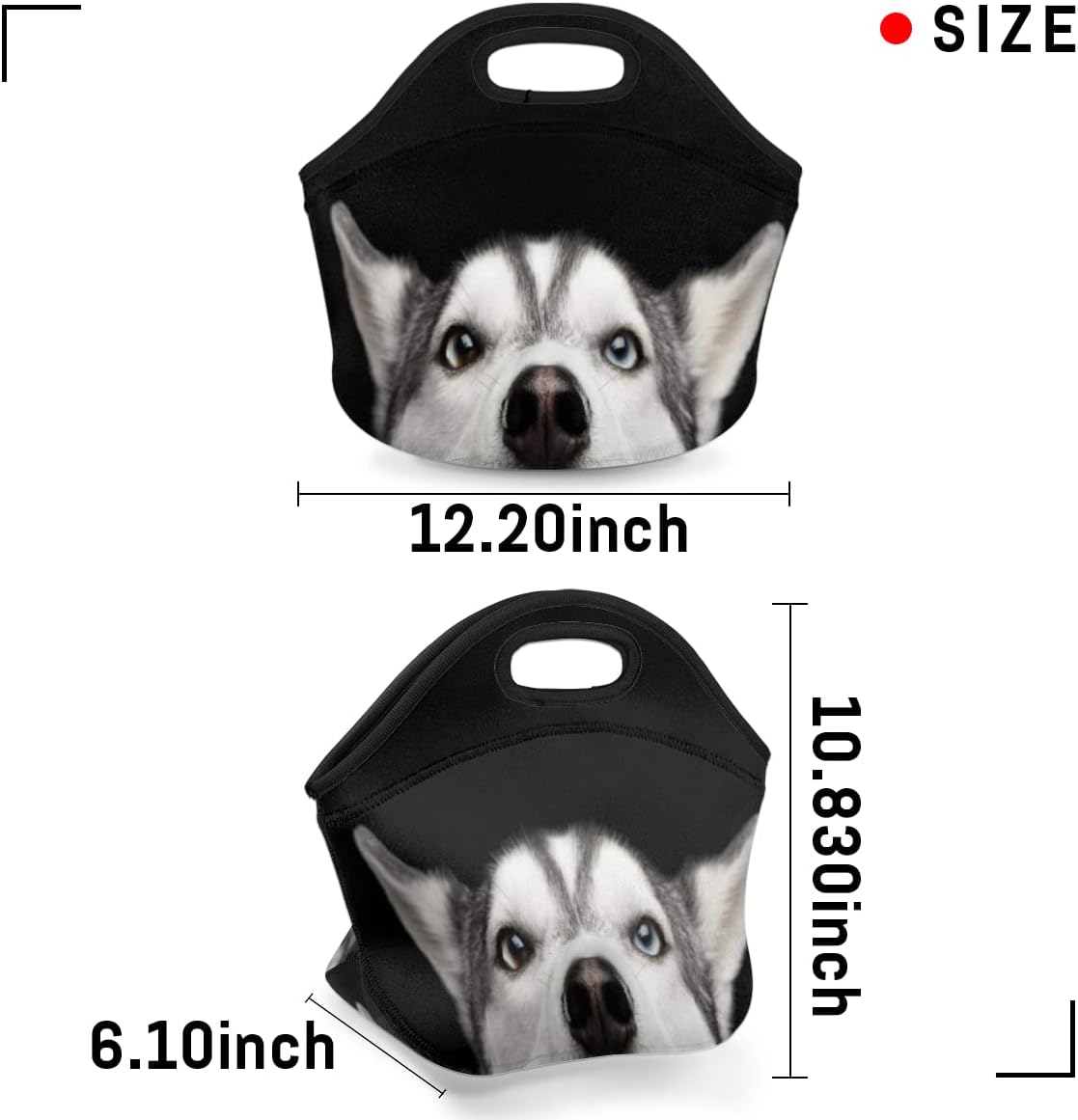 Bolsa de almuerzo de neopreno reutilizable con diseño de perro Husky con diseño de animales, bolsa térmica para comidas, bolsa de almuerzo
