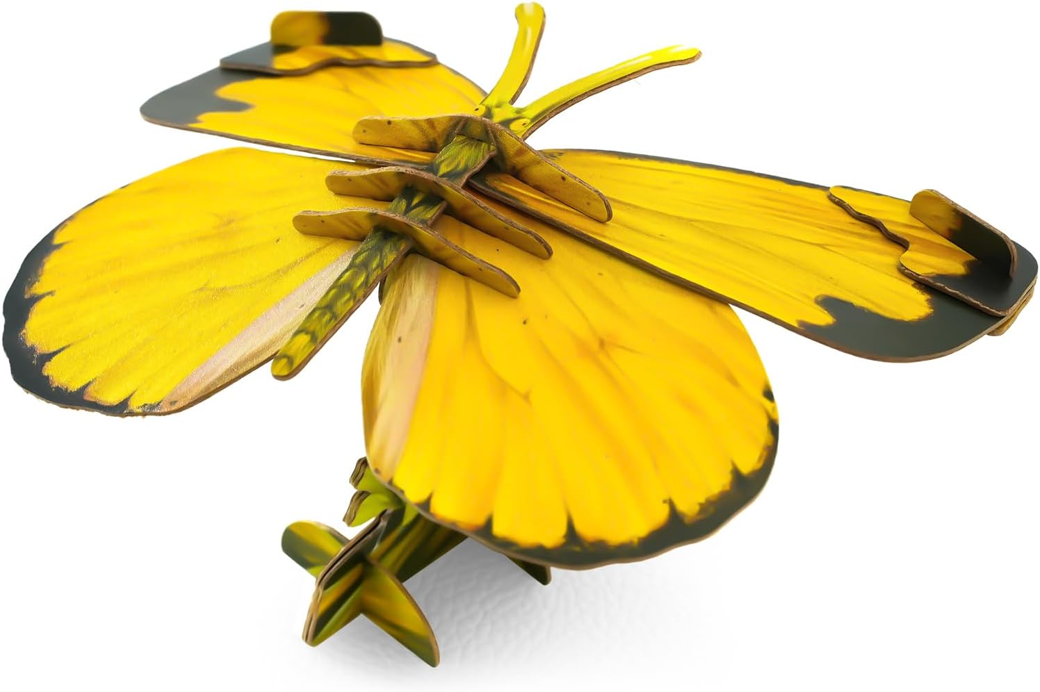 MAKEBUG Juguetes para ansiedad, rompecabezas de papel 3D ecológicos para actividades educativas STEM y aprendizaje temprano, juguetes sensoriales