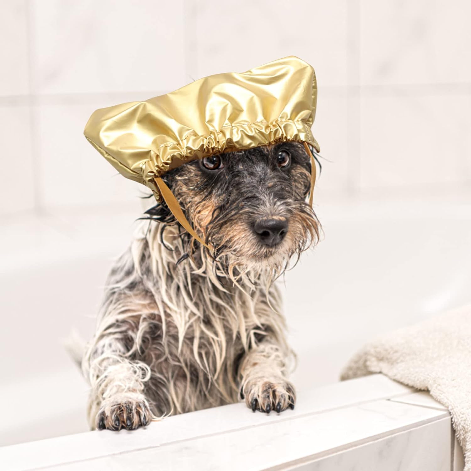 Gorros grandes para perros, ducha fija para perros, ducha para perros, gorra S para mascotas, ducha de mascotas, gorra para mascotas con tapa
