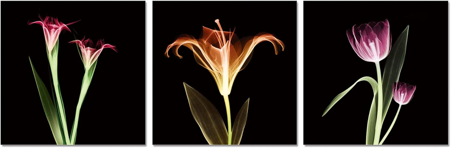 Chic Home Decor Tropical – Juego de 3 piezas de lienzo envuelto para pared, arte para la pared, impresión giclée, moderno, multicolor, diseño