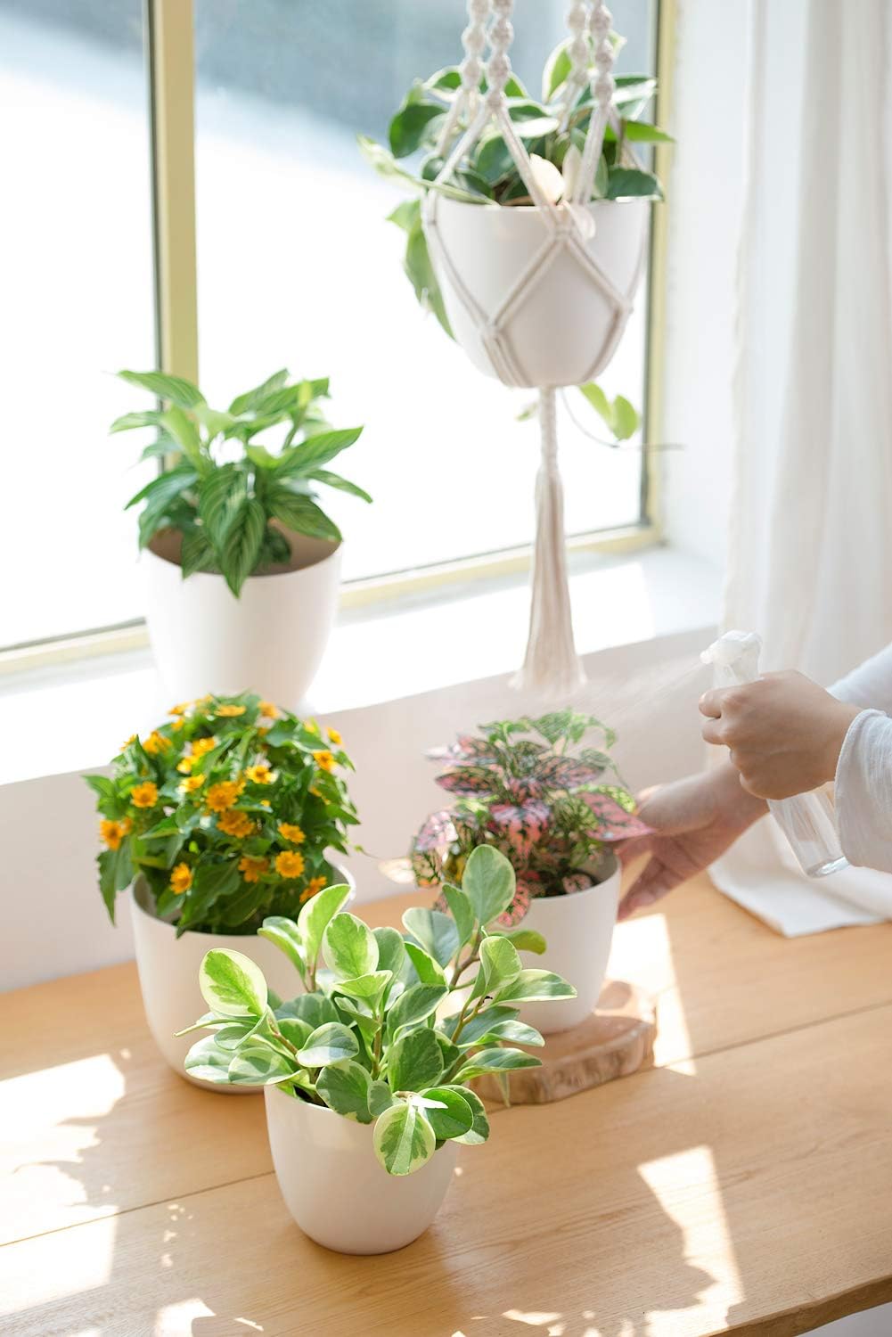 Mkono – Juego de 5 maceteros de plástico para interiores, decorativos y modernos para jardinería con orificio de drenaje y bandeja para todas las